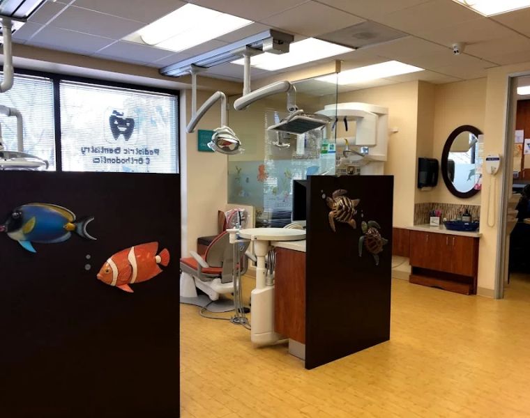 Rumack and Harmer Pediatric Dentistry