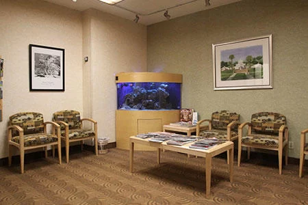 Peninsula Center Dental Implants & Oral Surgery Picture 3