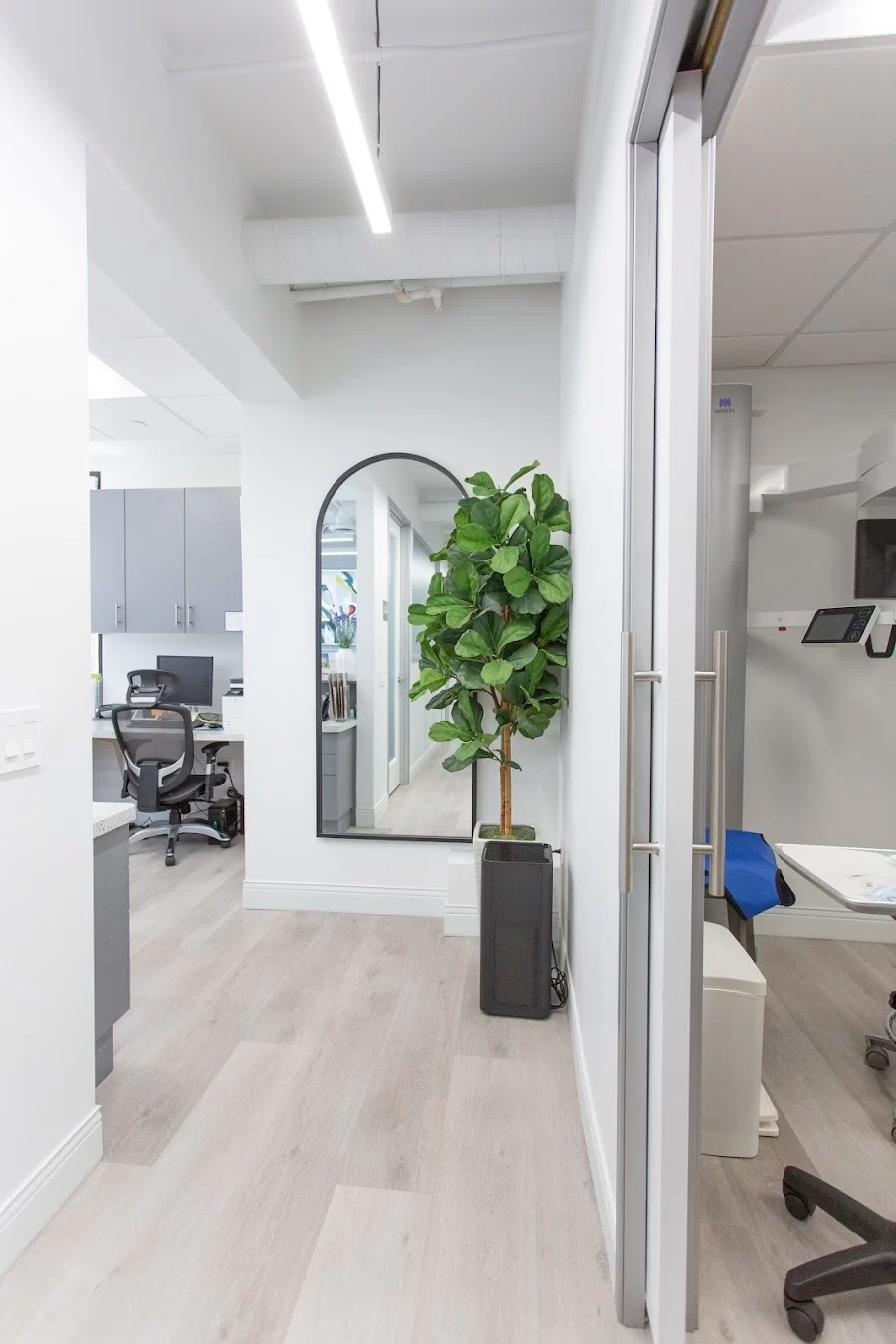 Loyal Dental Specialties Picture 6
