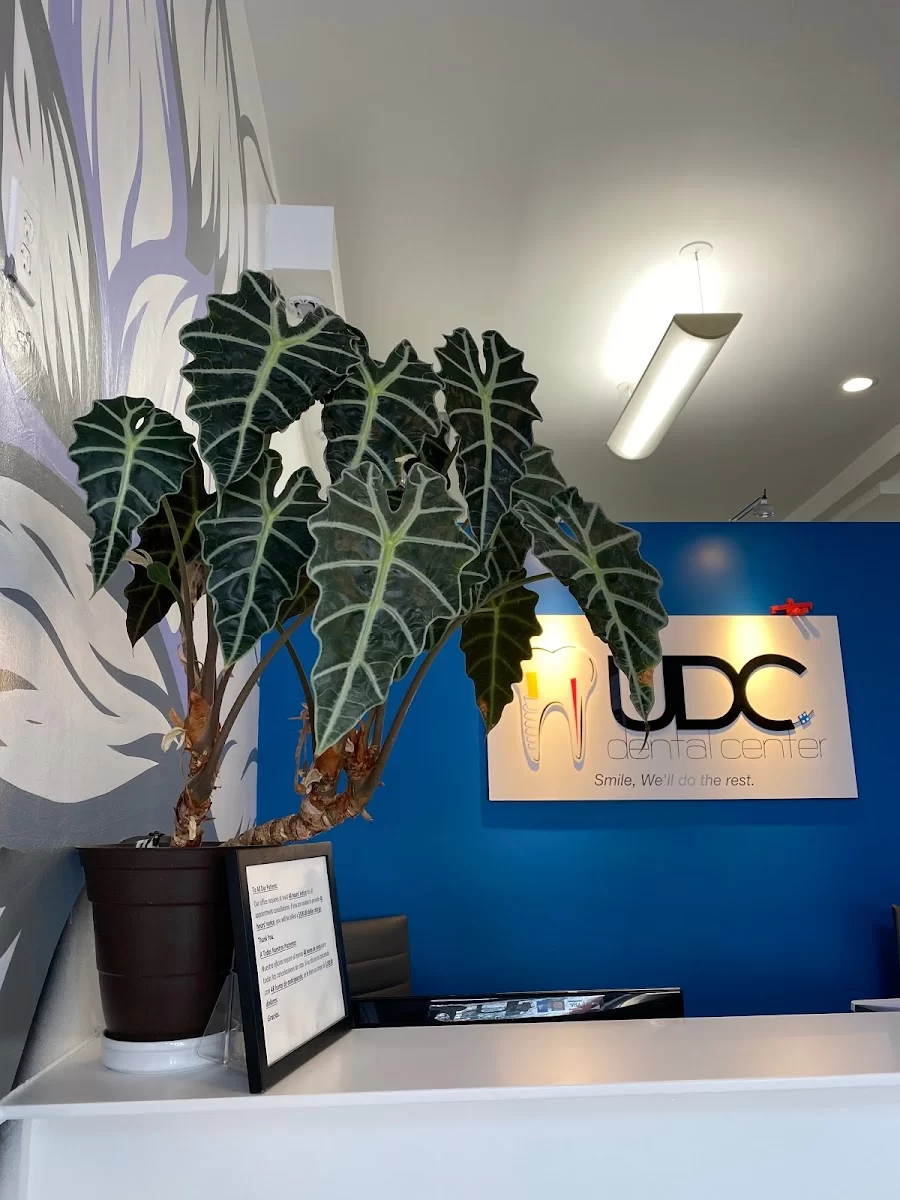 UDC Dental Center Picture 3