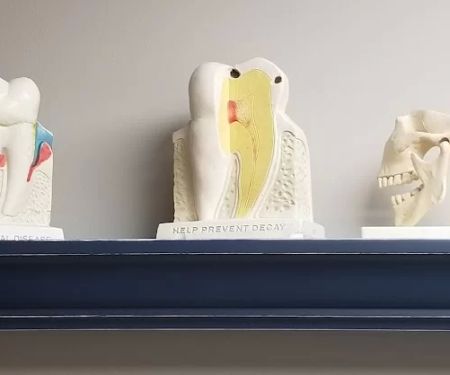 Central Jersey Dental Arts