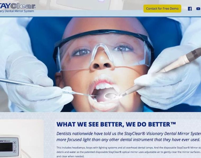 StayClear Dental Mirror System