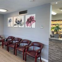 Dental Arts Studio ico