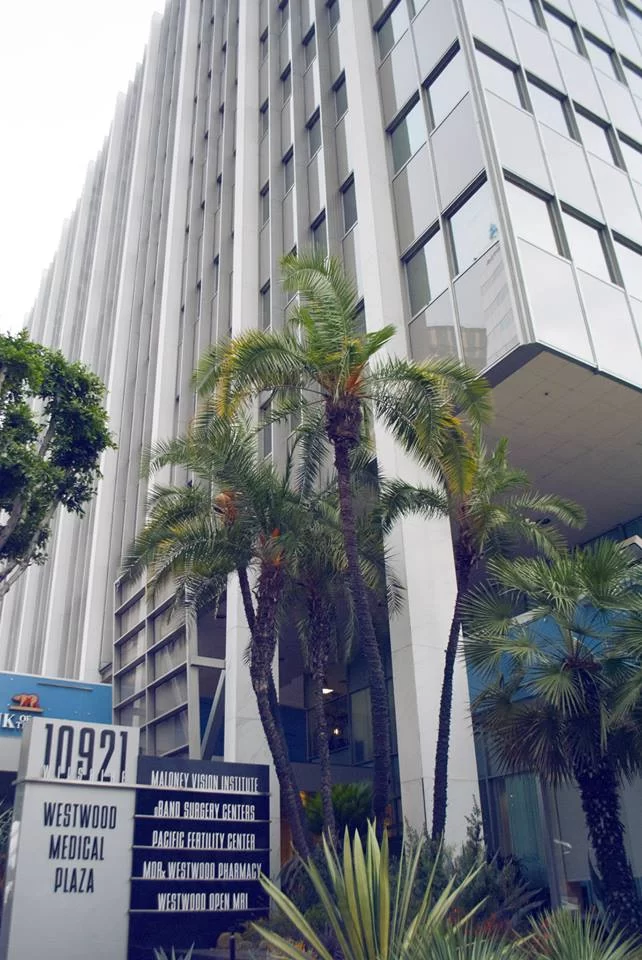 Smile Center - Westwood Picture 10