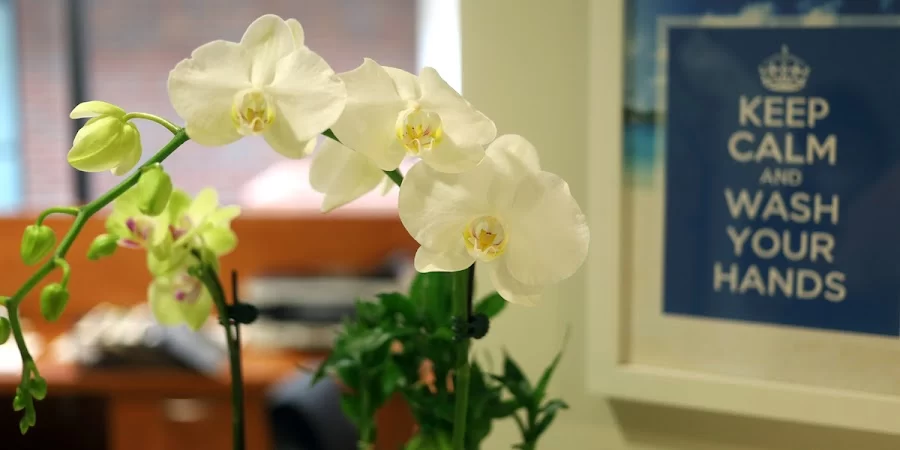 Pacific Smiles Dental Implant Center Picture 2