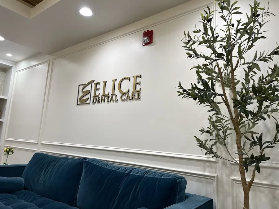 Elice Dental Care 5