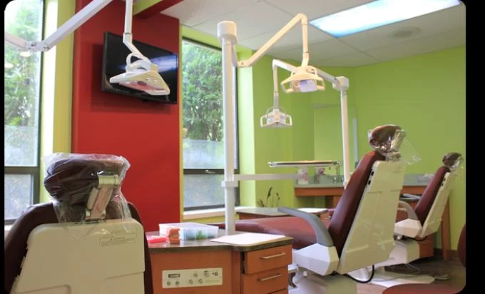 Dr Sezer Olcay , Holmdel Orthodontics 4