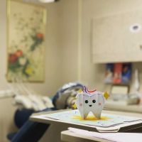Smiles Over Cambridge ico