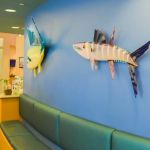 Wake Orthodontics & Pediatric Dentistry