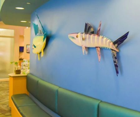 Wake Orthodontics & Pediatric Dentistry