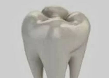Easy Dental: Michael Tran, DMD