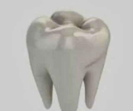 Easy Dental: Michael Tran, DMD