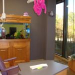 Children's Dentistry