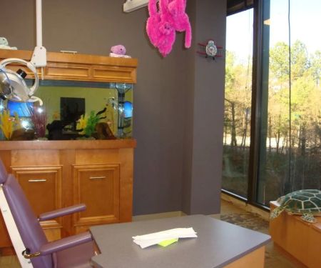 Children's Dentistry