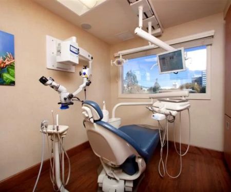 Science of Smiles - Stephanie P. Lee DDS & H. Robert Stender DDS