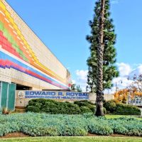 Roybal Comprehensive Health Center: Mendoza Celia DDS ico