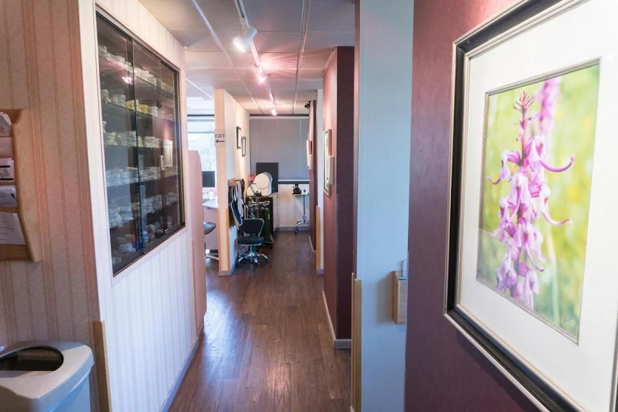Premier Dental Esthetics | Dentist Arcadia 2