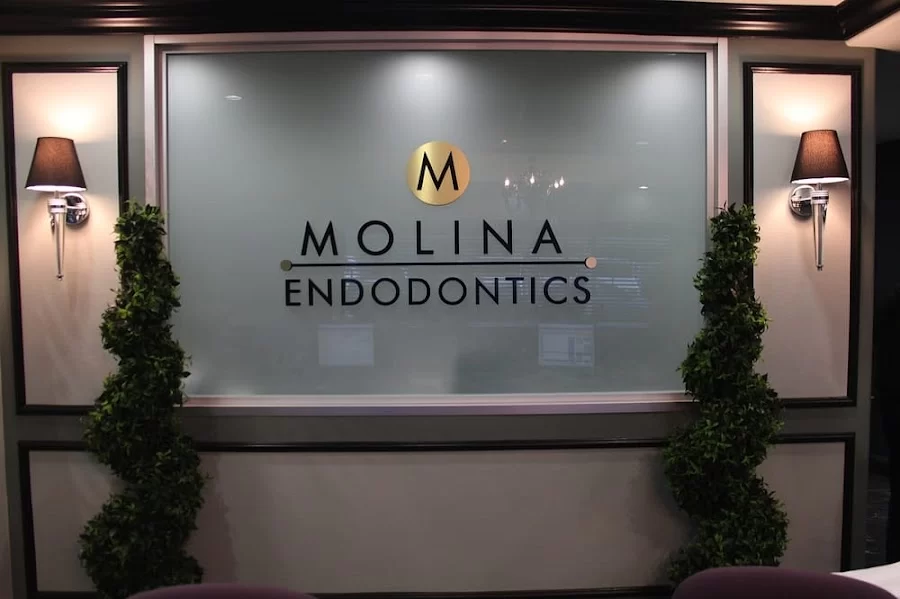 Molina Endodontics 2