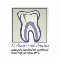 Molina Endodontics ico
