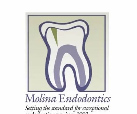 Molina Endodontics