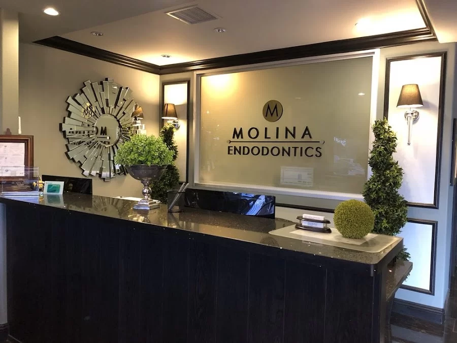 Molina Endodontics 6