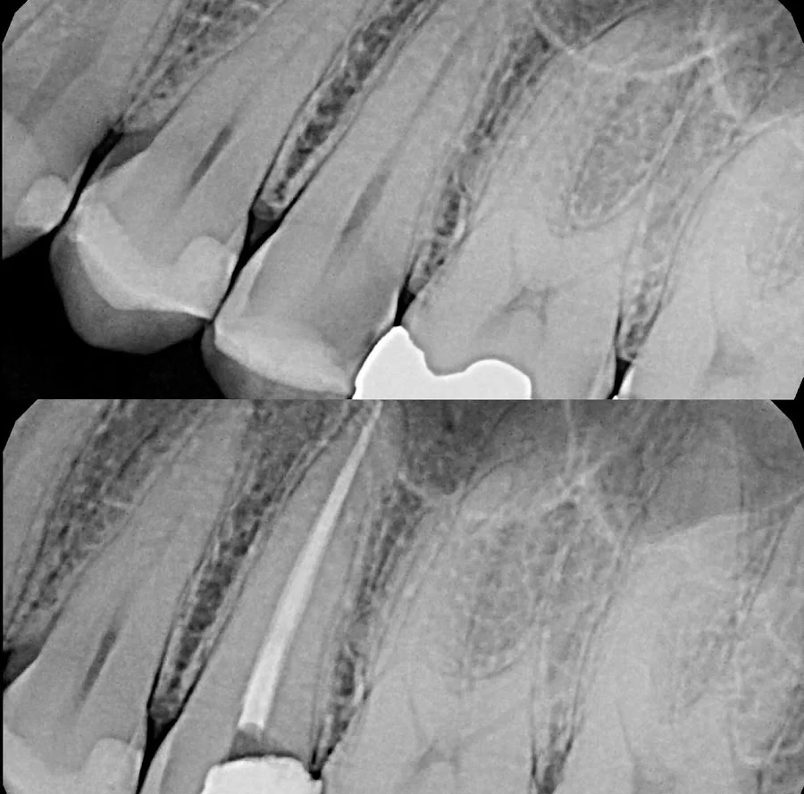 Shahin Shamsian DDS 5