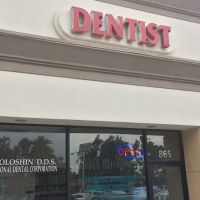 M Voloshin Professional Dental ico