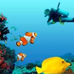 Ocean Dental