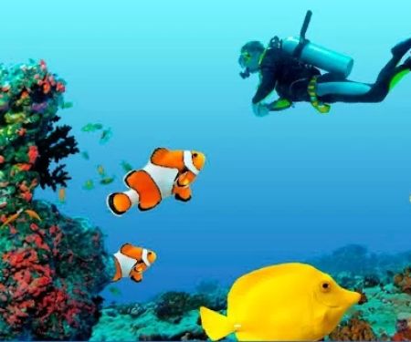 Ocean Dental