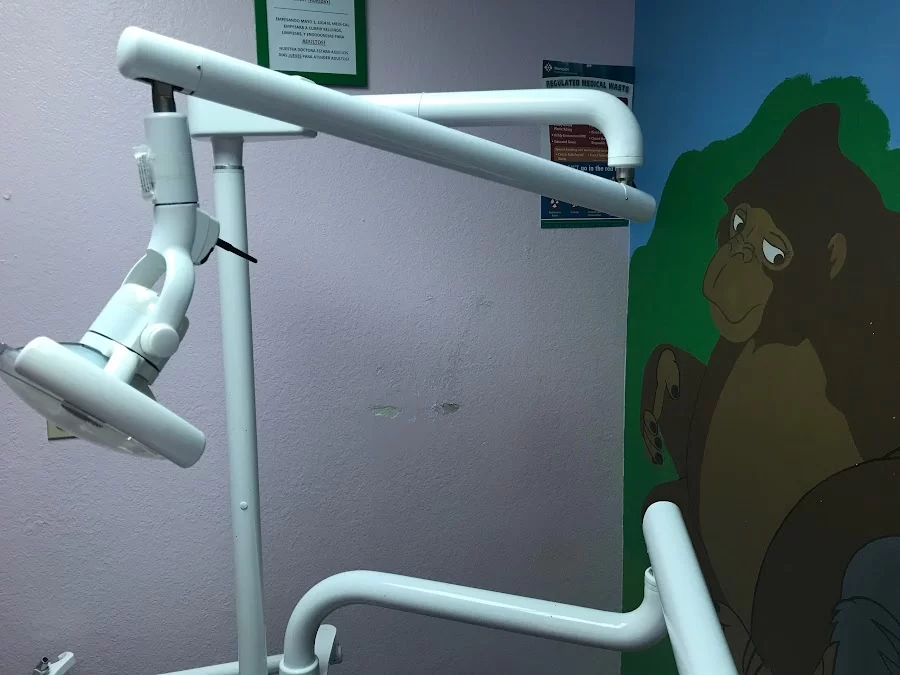 Caring Bear Dental 3