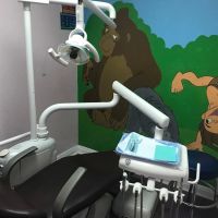 Caring Bear Dental ico