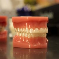 GO Orthodontics ico