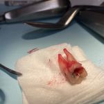New Smile Dental