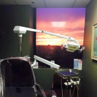 Dove Dental Spa: Dr. Warren J. Gerosa, DDS ico