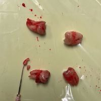 LAX DENTAL and ORTHODONTICS ico