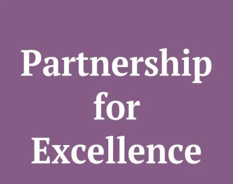 Partnership for Excellence, PLLC