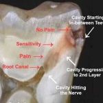 Nice Touch Dental