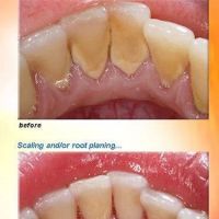 Heavenly Dental Smiles Inc. ico