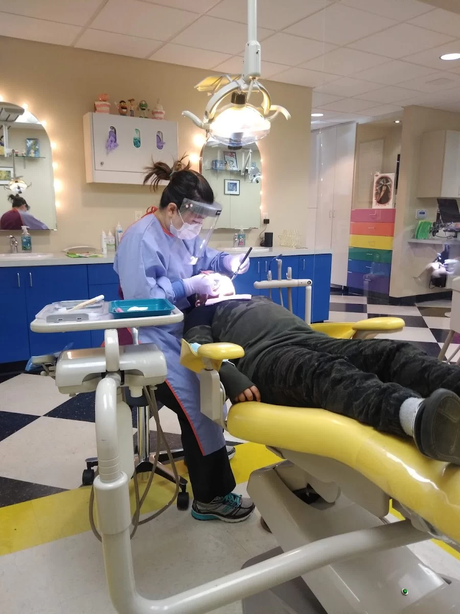 Hollywood Children's Dentistry 6