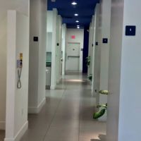 Plaza Dental Group ico