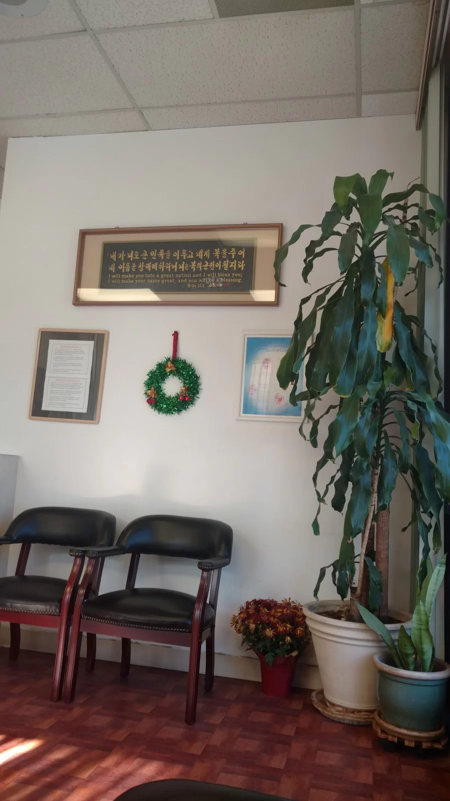 Dr. Anoush A. Yessaian, DDS 4