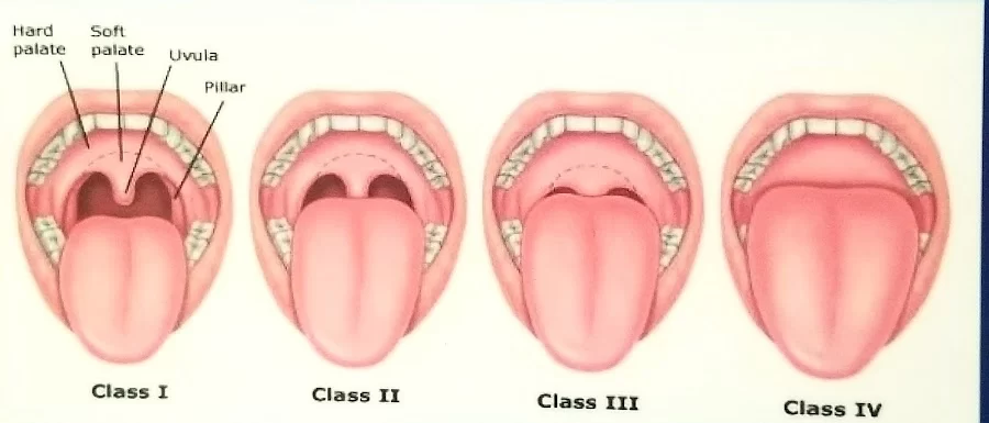 Anita Rathee, DDS 4