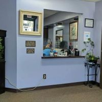 Angela Ayzin, DDS ico