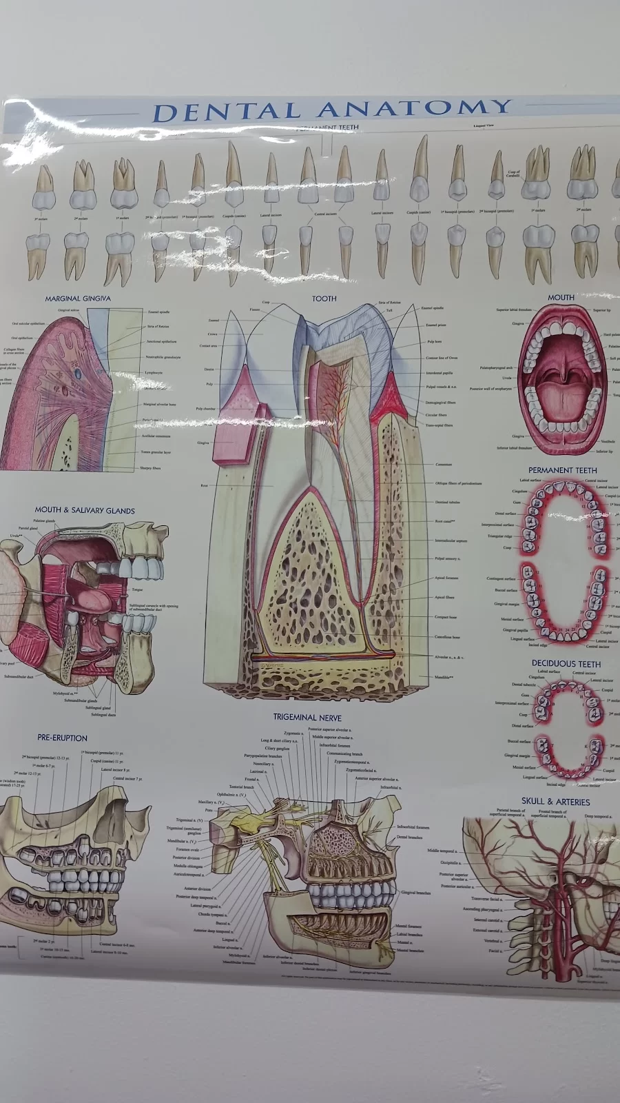 Dr. Tigran Arakelyan, DDS 2