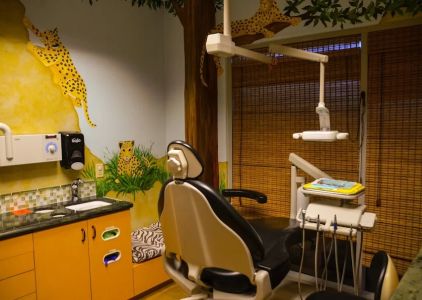 Dr. Janelle Holden, DDS
