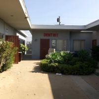Cayasso Bassette A DDS ico
