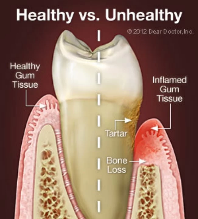Riverdale Dental Associates Picture 7