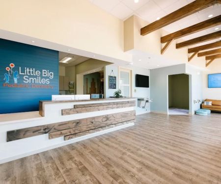 Little Big Smiles Pediatric Dentistry of Fort Myers