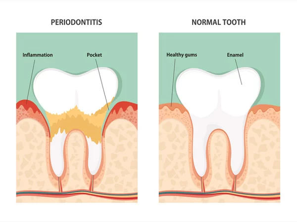 Tropic Dental, Nikola Goranov, DMD 6