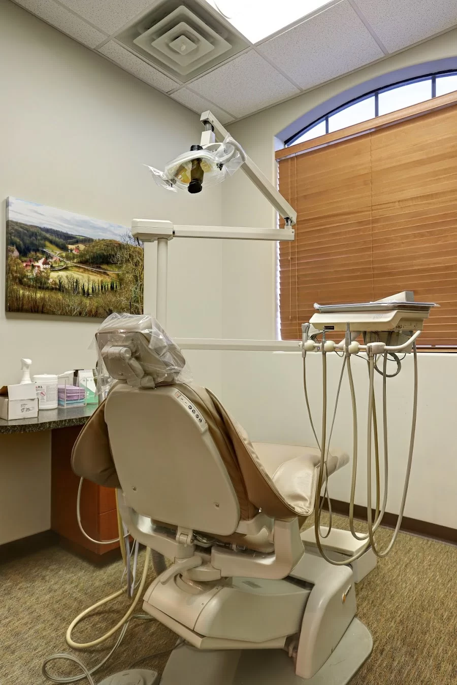 Palmer Dental 10